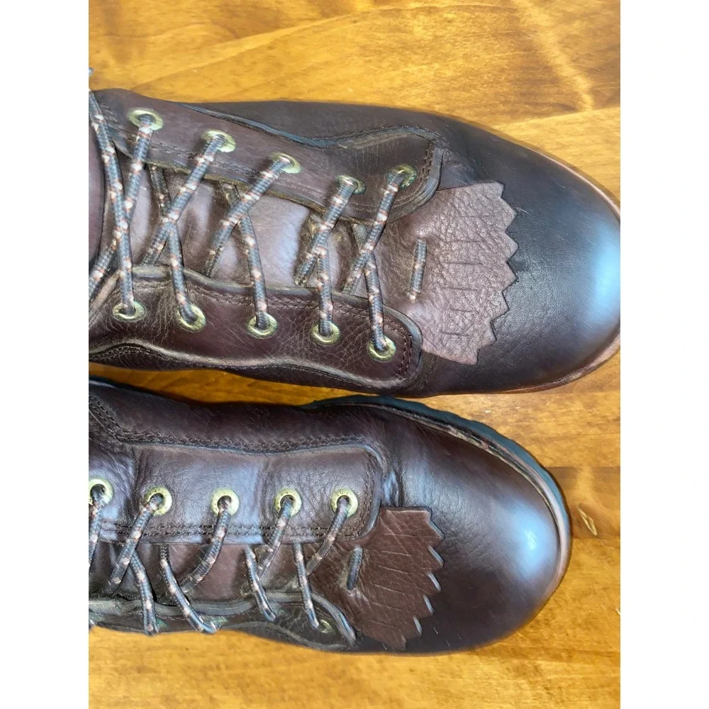 Irish Setter good pre